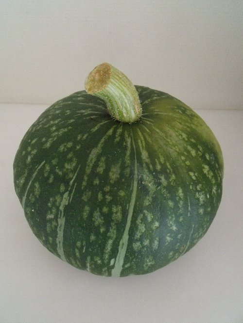 夏野菜の収穫