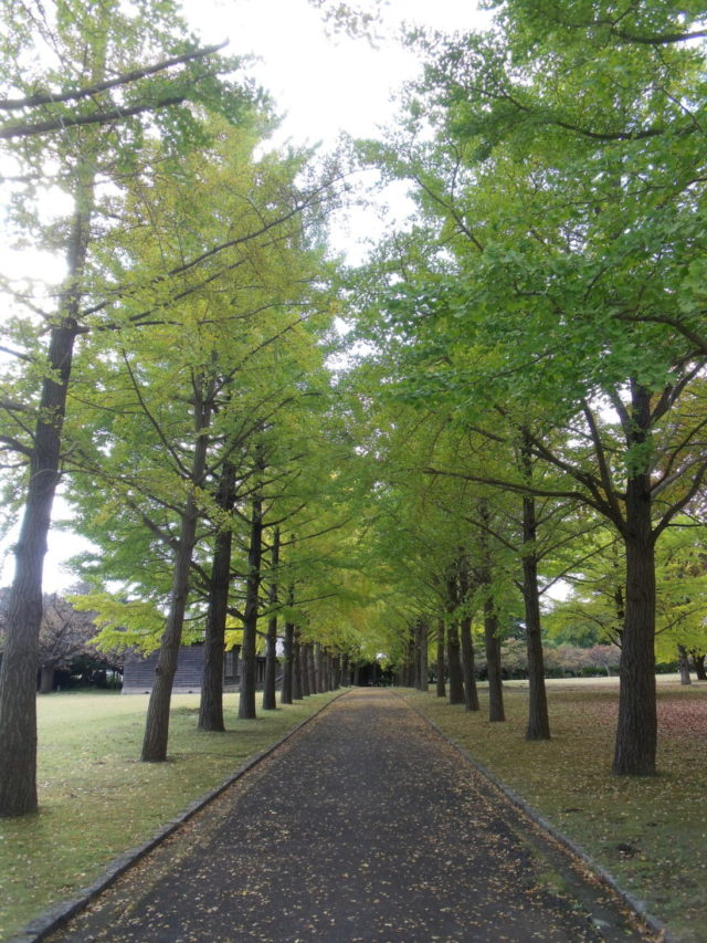 県立歴史博物館へ