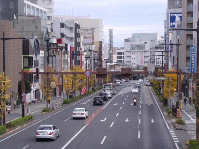 銀杏坂の大銀杏