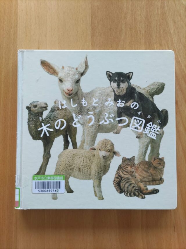 彫刻家　「はしもと　みお」さん